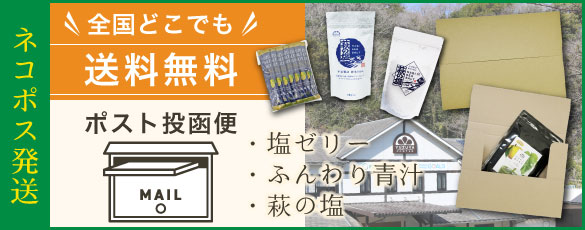 ポスト投函商品