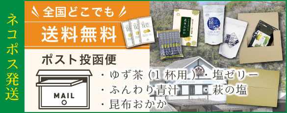ポスト投函商品