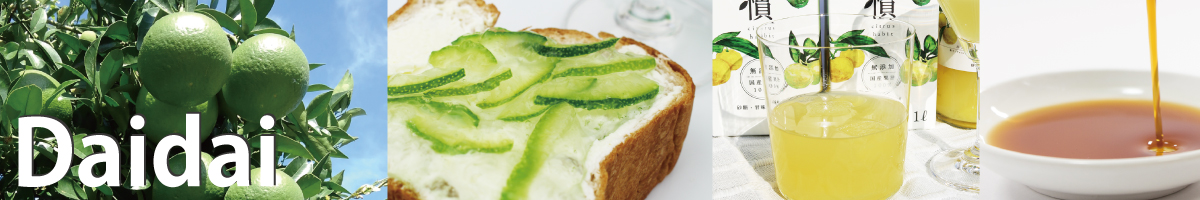 daidai-top