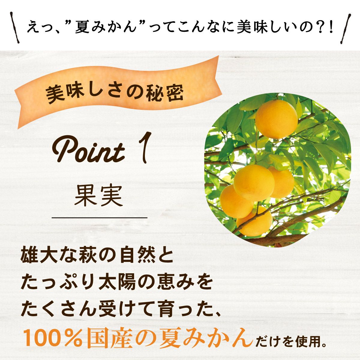 夏みかんマーマレード（160g）6本 | 柚子屋本店ONLINE STORE