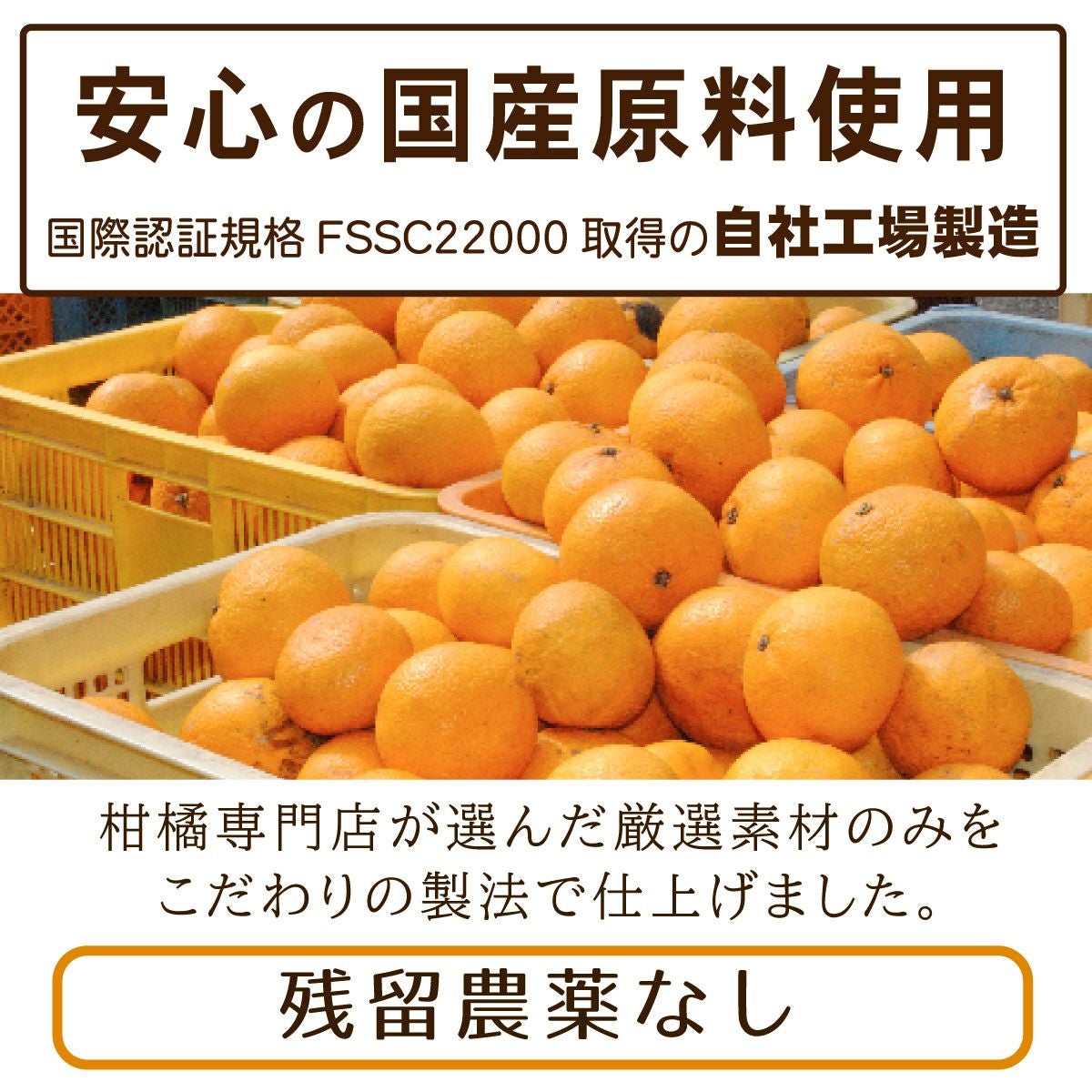 夏みかんマーマレード（160g）12本 | 柚子屋本店ONLINE STORE
