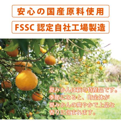 夏みかんゼリー自宅用箱なし（80g）単品 | 柚子屋本店ONLINE STORE