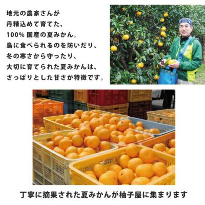 夏みかんゼリー自宅用箱なし（80g）単品 | 柚子屋本店ONLINE STORE