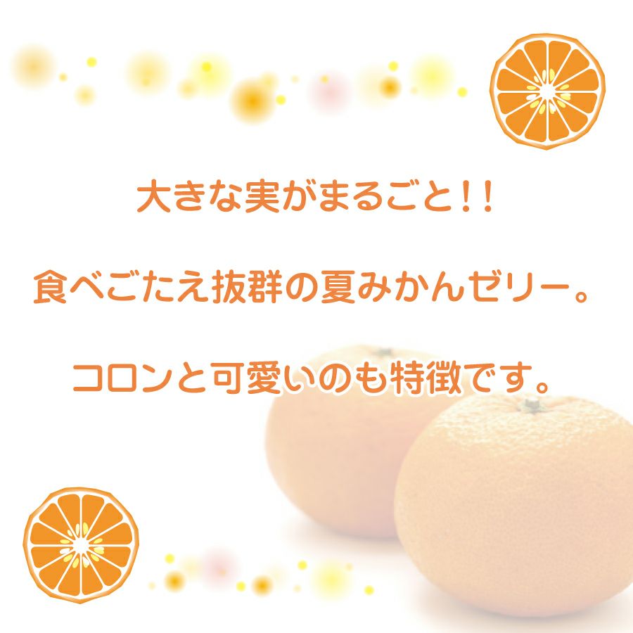 夏みかんゼリー自宅用箱なし（80g）3個 | 柚子屋本店ONLINE STORE