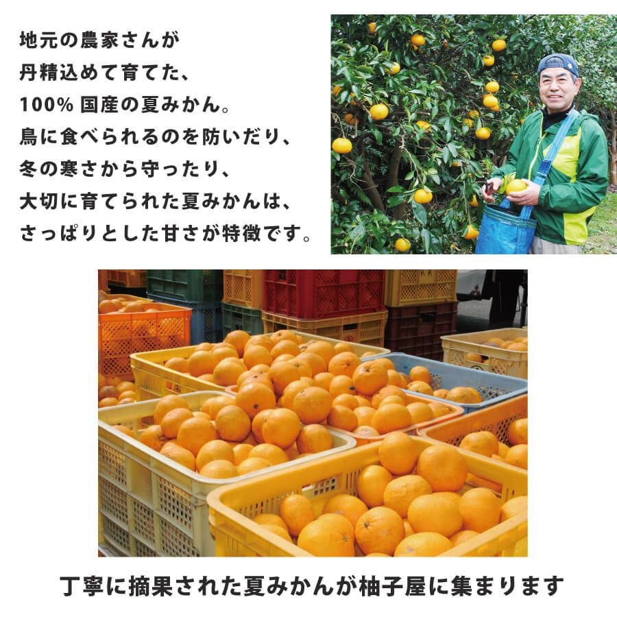 夏みかんゼリー自宅用箱なし（80g）20個 | 柚子屋本店ONLINE STORE
