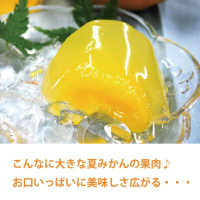 夏みかんゼリー贈答用箱入り（80g）15個セット[3283] | 柚子屋本店