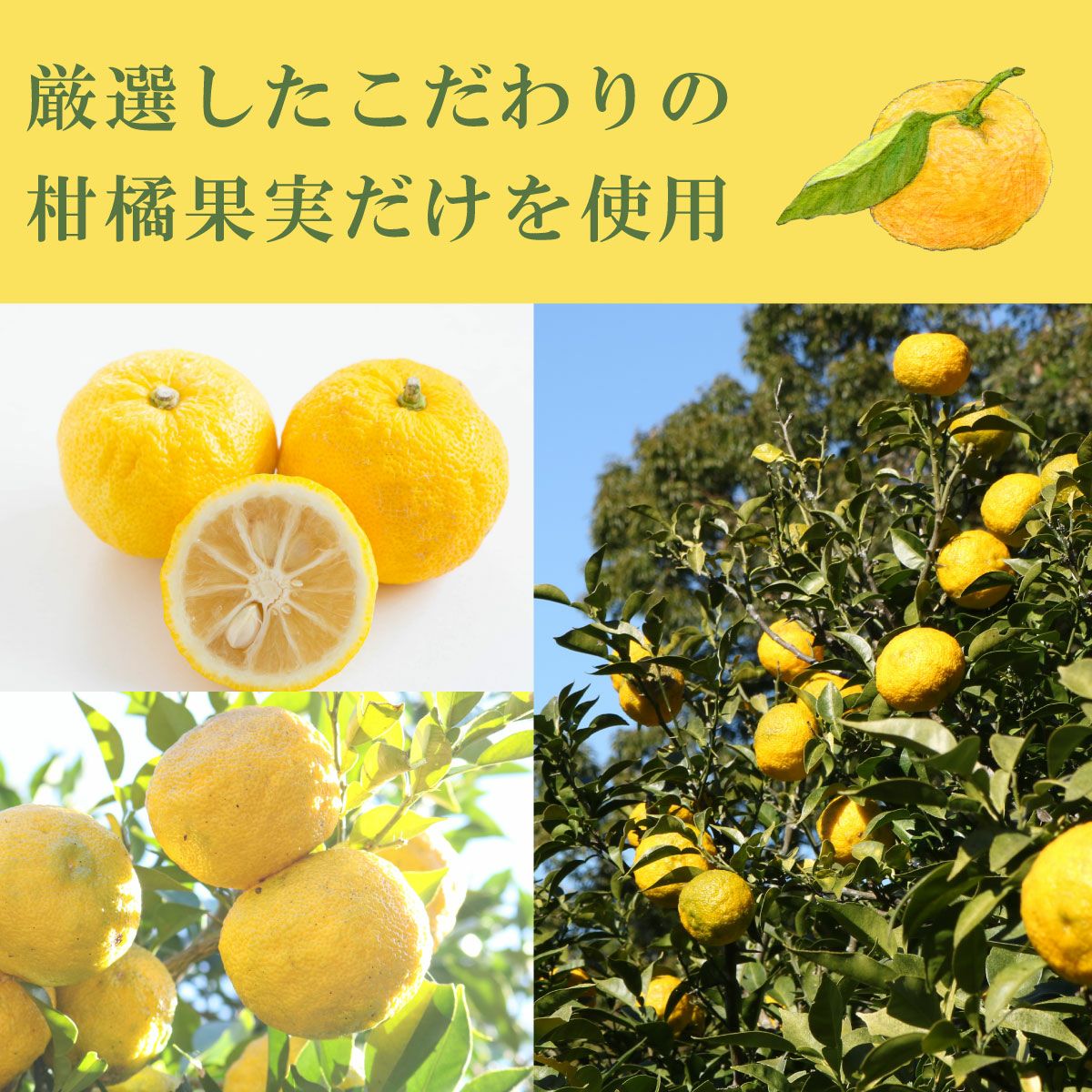 送料無料】搾り柚子（200ml）24本（柚子果汁100％） | 柚子屋本店