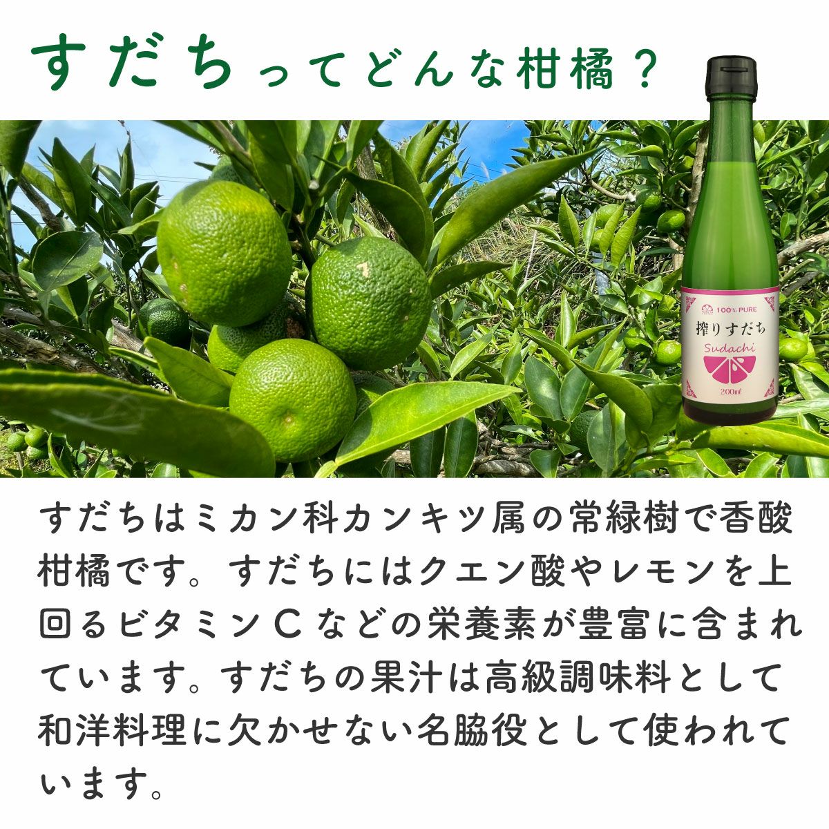 搾りすだち（200ml）単品 | 柚子屋本店ONLINE STORE