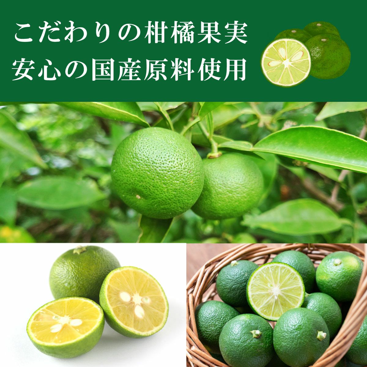 搾りすだち（720ml）6本 | 柚子屋本店ONLINE STORE