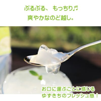 ゆずきちゼリー自宅用箱なし（80g）単品 | 柚子屋本店ONLINE STORE