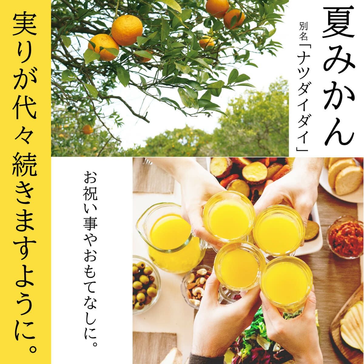 夏みかん4（180mlキュート瓶）12本 | 柚子屋本店ONLINE STORE