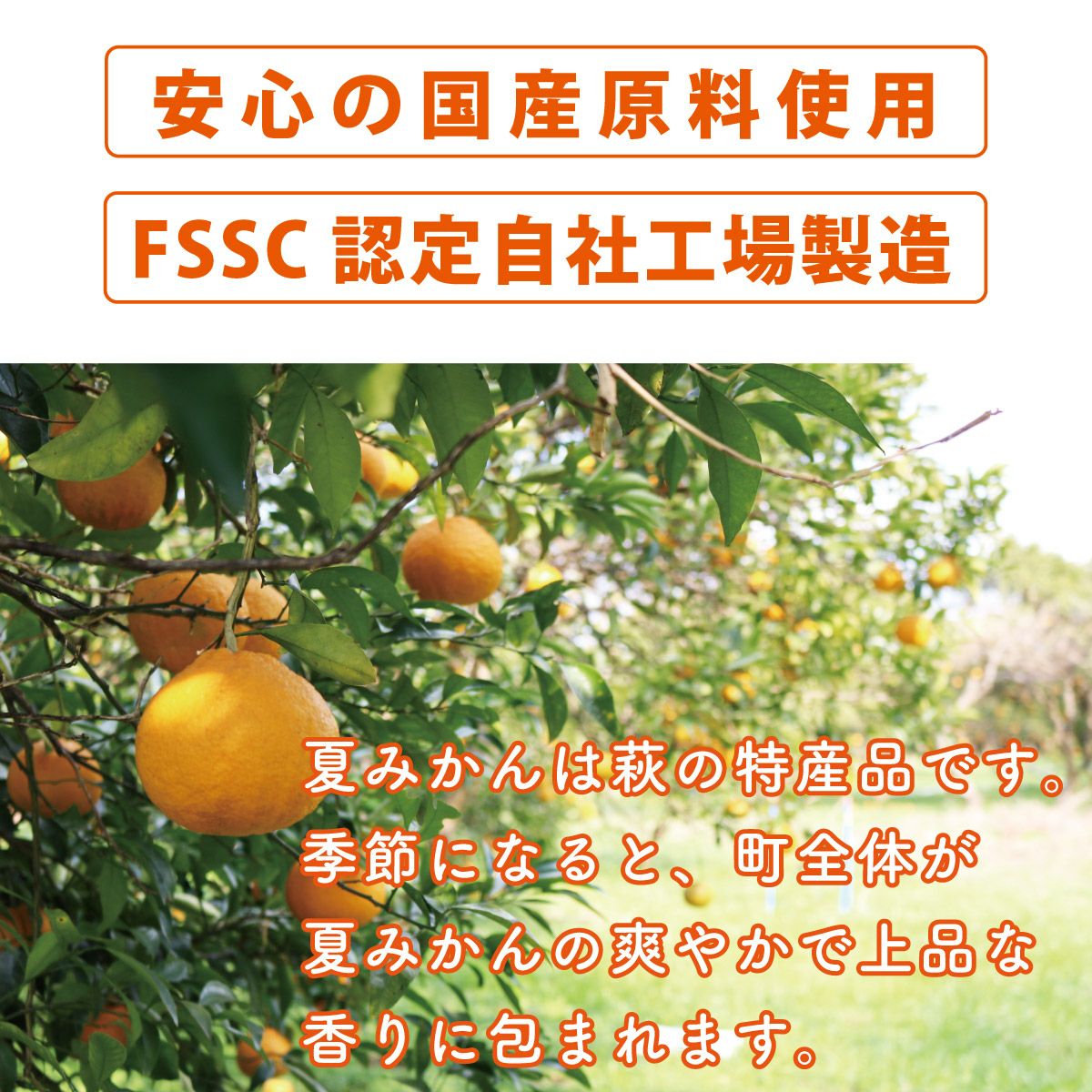 夏みかん4（500ml）単品 | 柚子屋本店ONLINE STORE