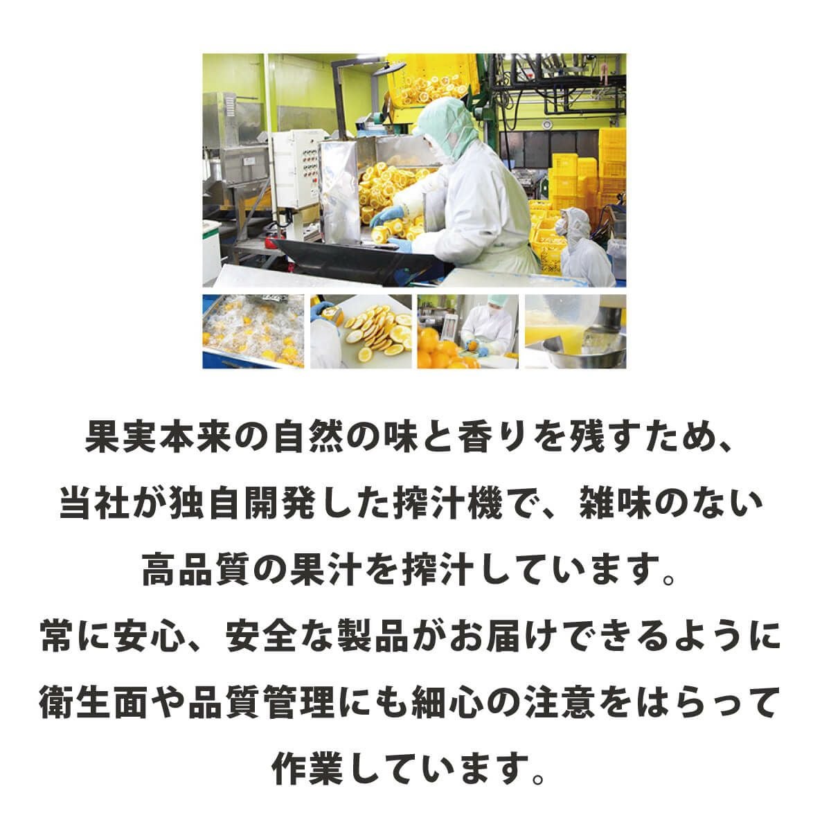 夏みかん4（500ml）単品 | 柚子屋本店ONLINE STORE