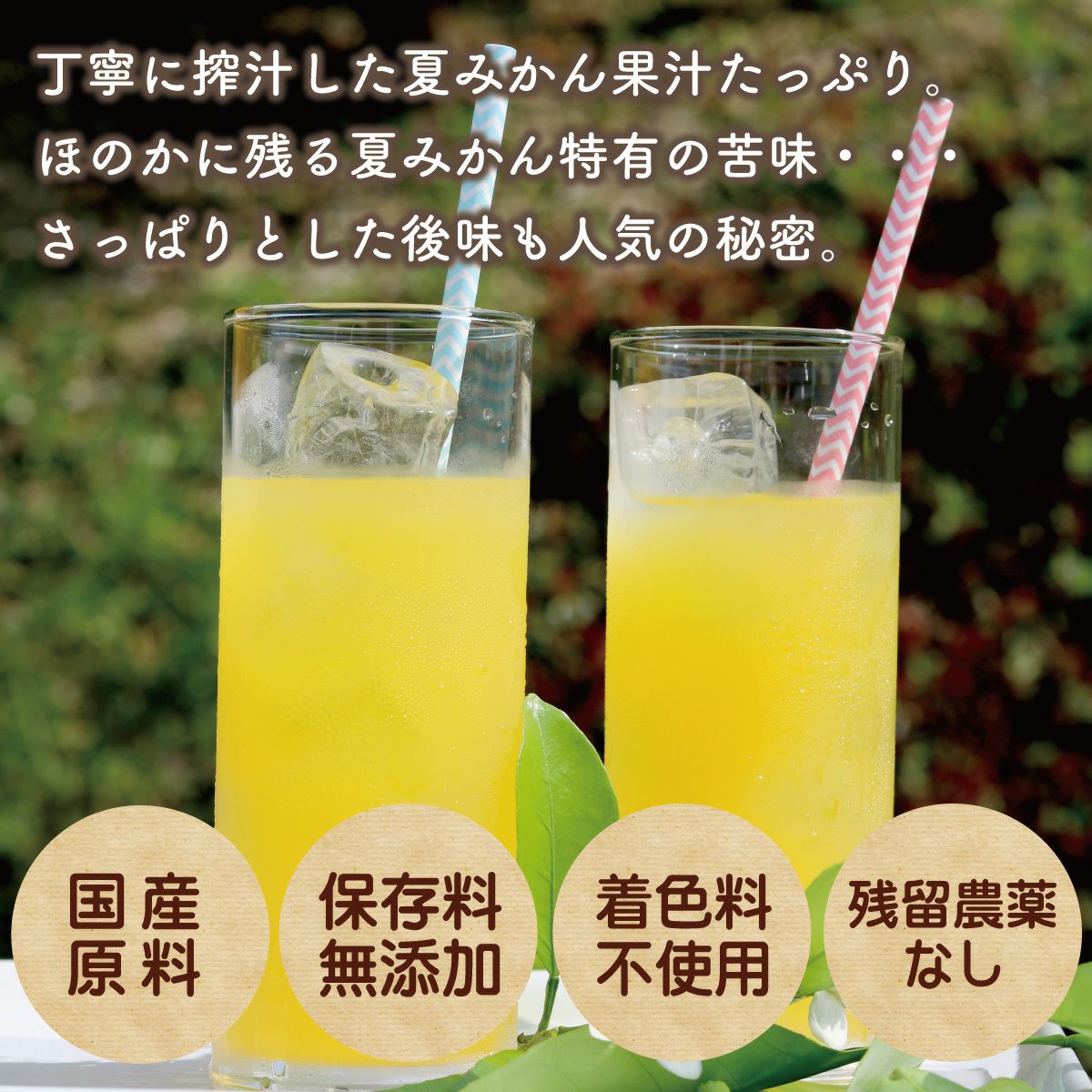 夏みかん4（500ml）6本 | 柚子屋本店ONLINE STORE