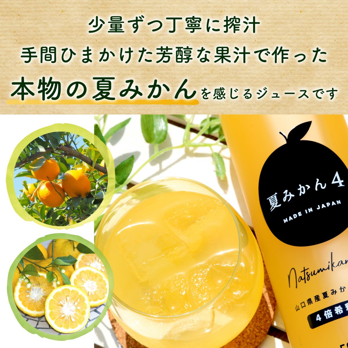 夏みかん4（500ml）6本 | 柚子屋本店ONLINE STORE