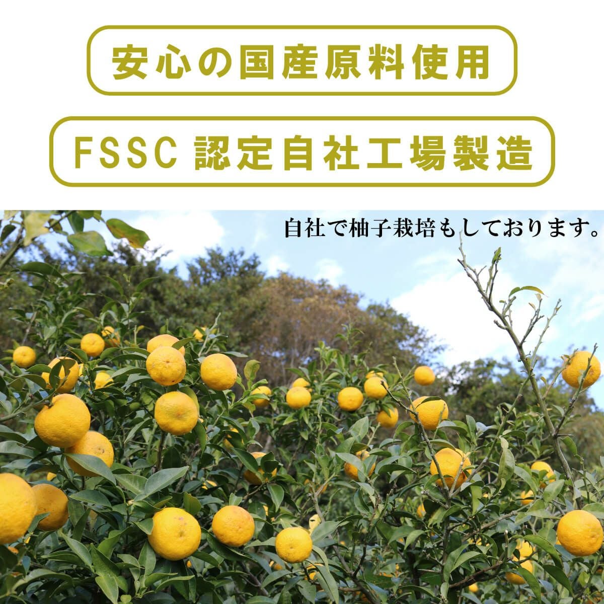 ゆず5（180mlキュート瓶）12本 | 柚子屋本店ONLINE STORE