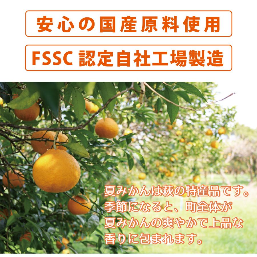 豊熟ギフトB-1[11318] | 柚子屋本店ONLINE STORE