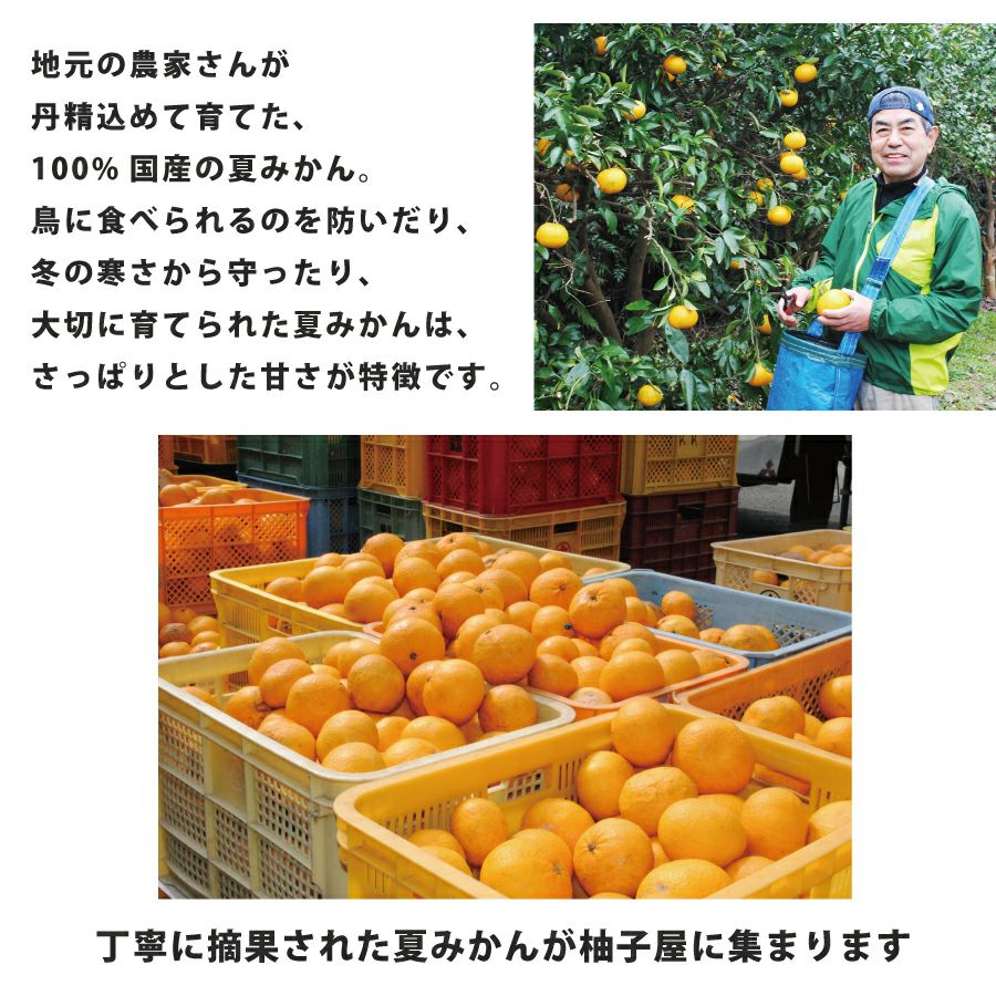 豊熟ギフトB-1[11318] | 柚子屋本店ONLINE STORE