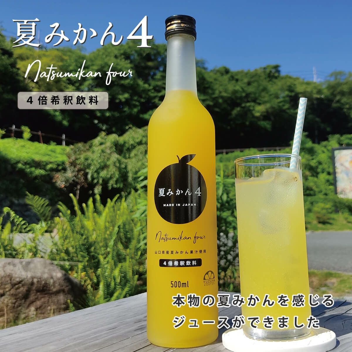 いろどりギフトC-10[11615] | 柚子屋本店ONLINE STORE