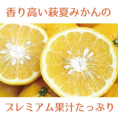 いろどりギフトC-14[11653] | 柚子屋本店ONLINE STORE