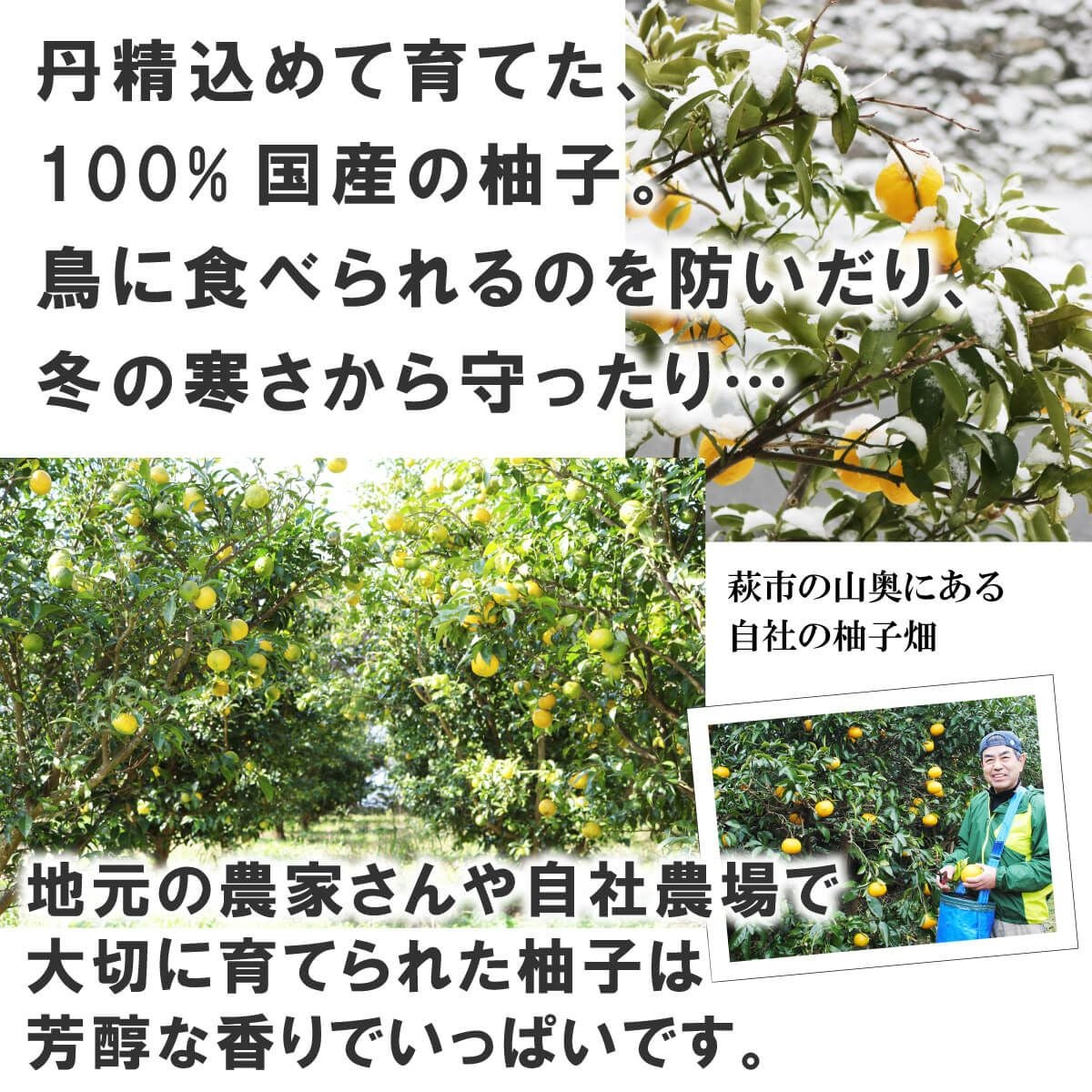 柑橘ギフトB-６[11967]|お歳暮,お中元,柚子ジュース,ゆずジュース,ギフト,ラッピング無料,人気,お取り寄せギフト