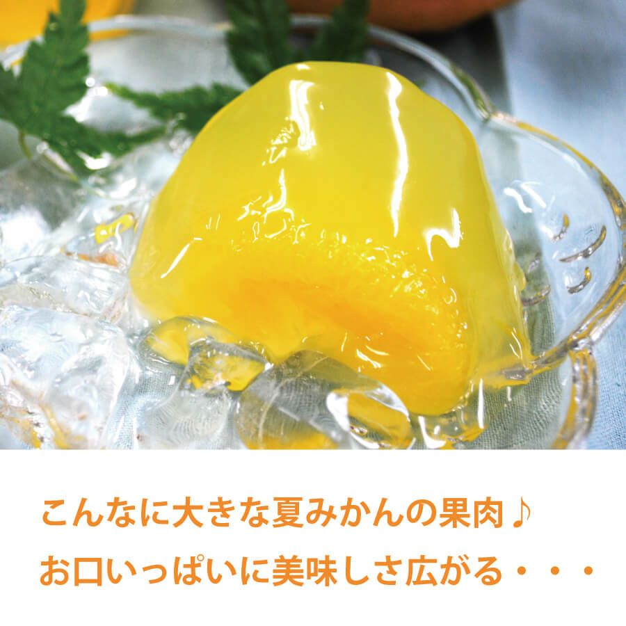 夏みかんゼリー贈答用箱入り（80g）15個セット×5箱[3283-p5]|お歳暮,お中元,贈り物,熨斗無料,メッセージカード無料,ラッピング無料、無添加ギフト,お取り寄せギフト,みかんゼリー