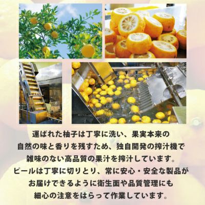 柚子ゼリー贈答用箱入（80g）5個入り×10箱[9162-p10]