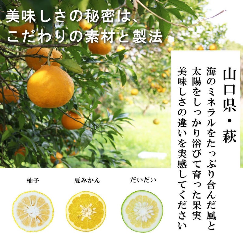 雅(みやび)ギフトG-1[14104]|お歳暮,お中元,贈り物,熨斗無料,メッセージカード無料,ラッピング無料、無添加ギフト,お取り寄せギフト