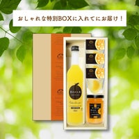 【初回限定】まるごと夏みかんBOX(夏みかん希釈ジュース他5点入)