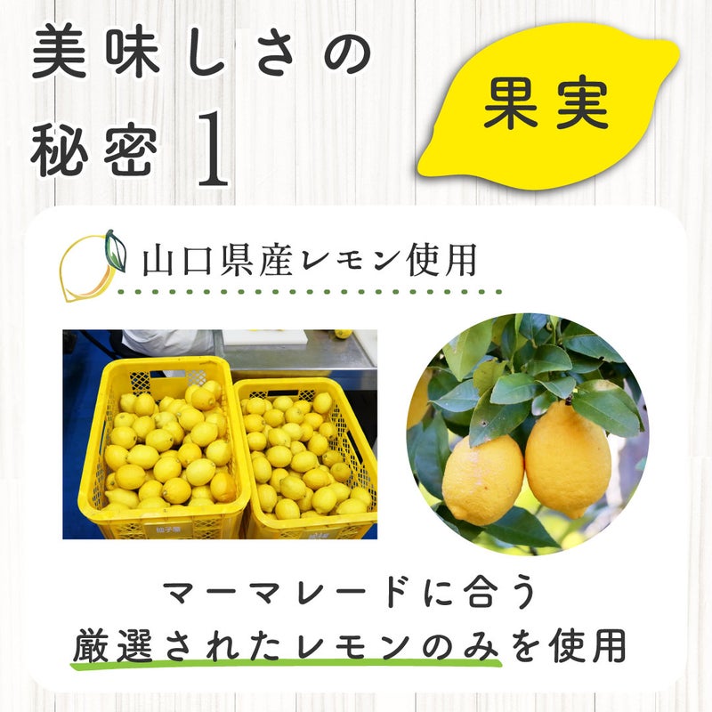 レモンマーマレード2025 160g(単品)