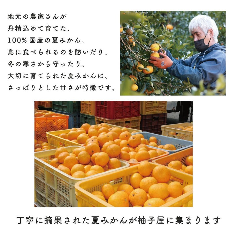 ☆シトラスガーデンギフトH-2[14456]|お歳暮,お中元,柑橘製品,ギフト,ラッピング無料,人気,お取り寄せギフト
