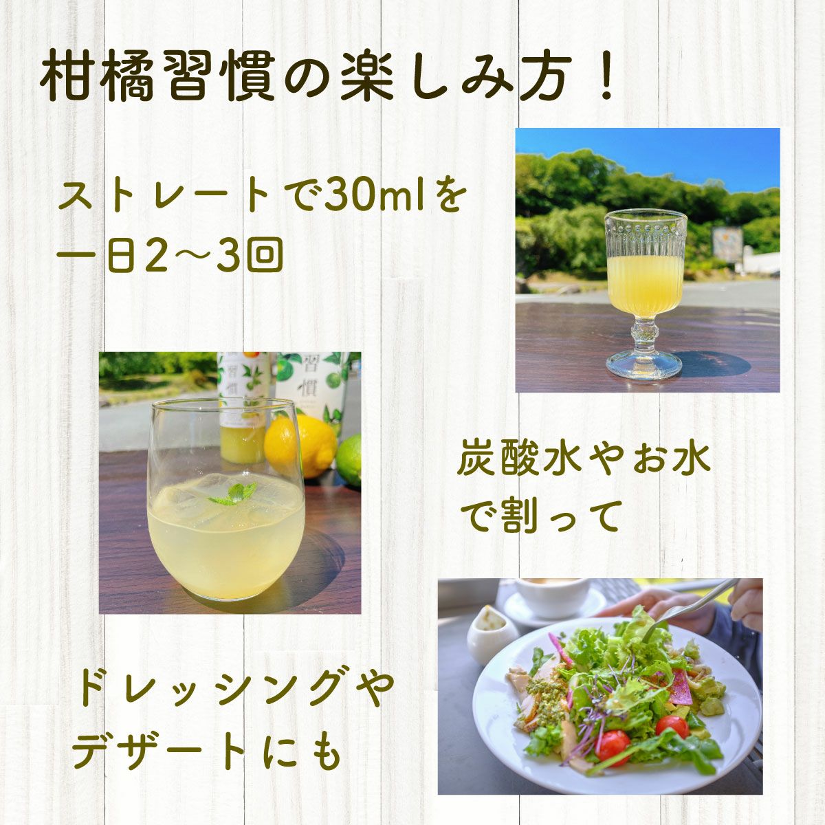 ☆さわやか柑橘12本セット[14654] | 柚子屋本店ONLINE STORE