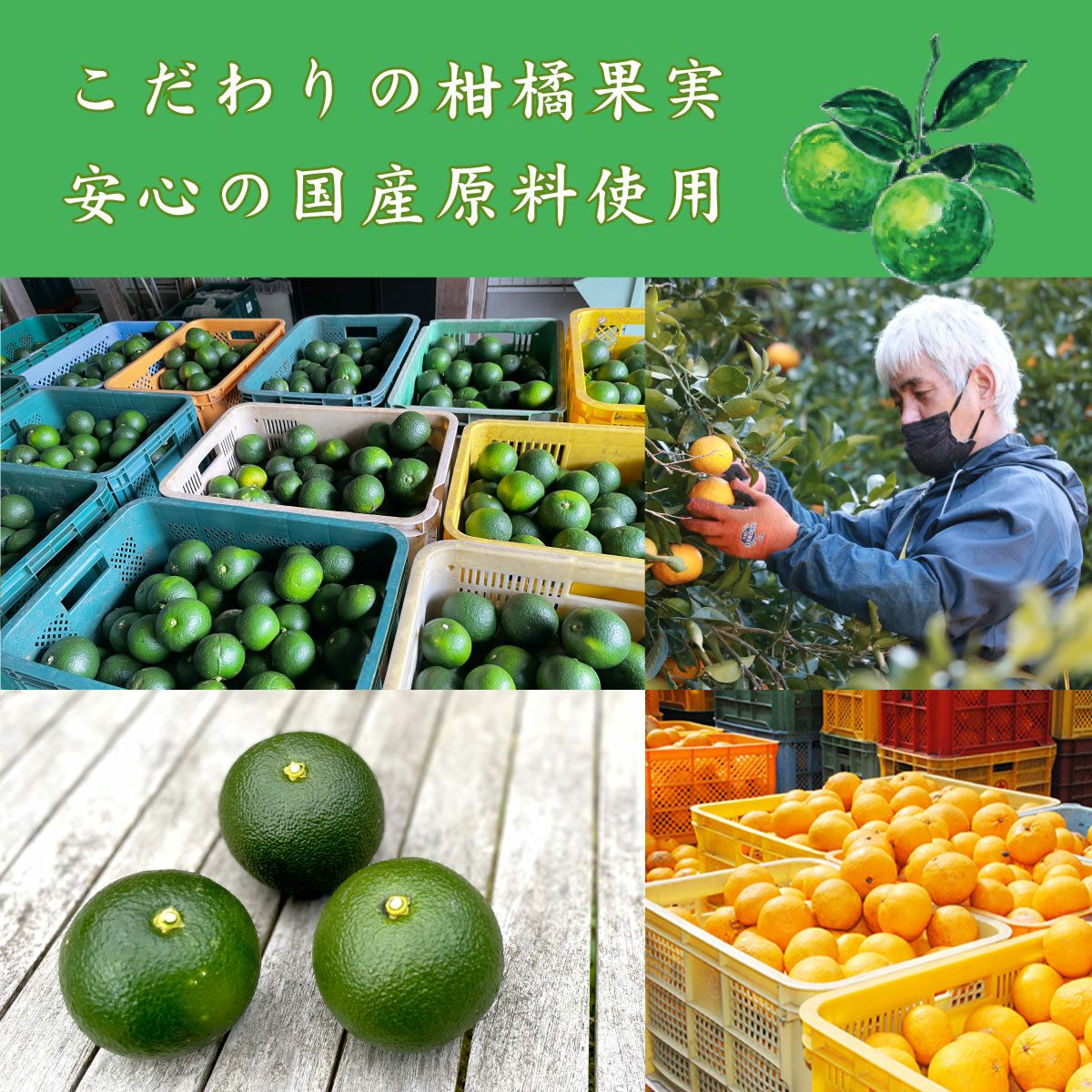 搾り橙 夏みかんブレンド（橙・夏みかん果汁100％・一升瓶1.8L）3本