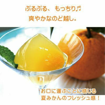 ゼリー15個アソート贈答用箱入り（80g）15個セット×10箱[9278-p10]