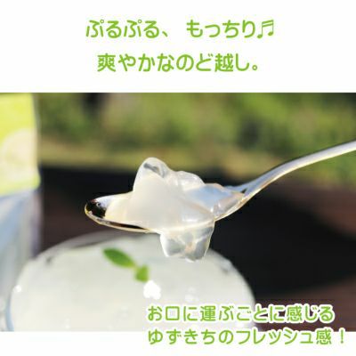 ゼリー15個アソート贈答用箱入り（80g）15個セット×10箱[9278-p10]