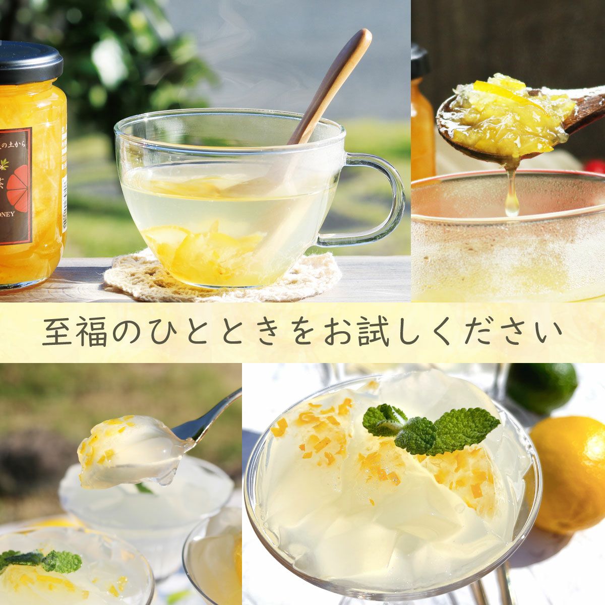初回限定】和(なごみ)BOX[送料無料] | 柚子屋本店ONLINE STORE
