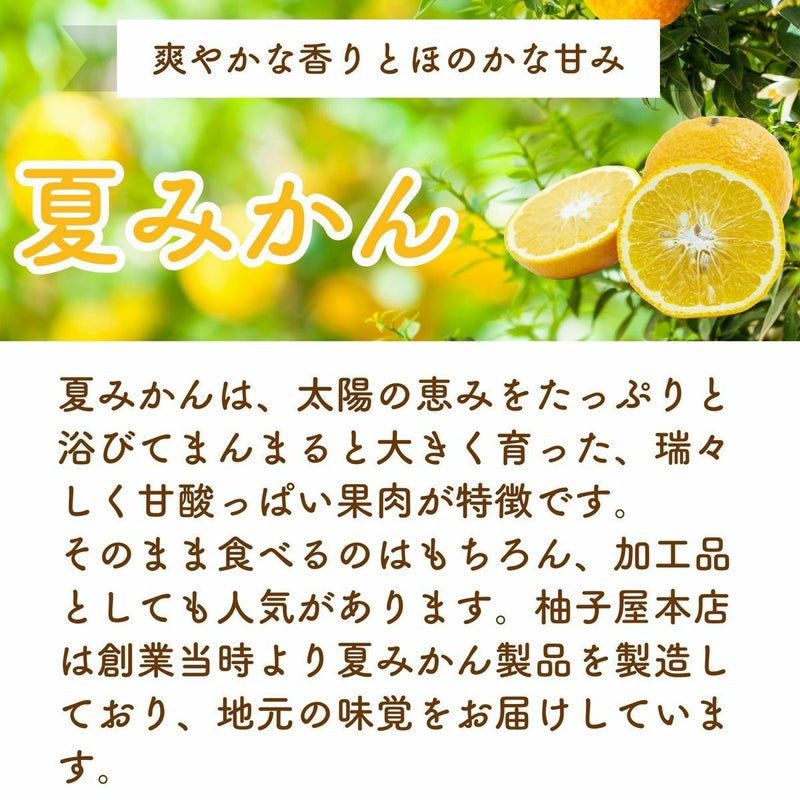 まるっと夏みかんギフト[15194]