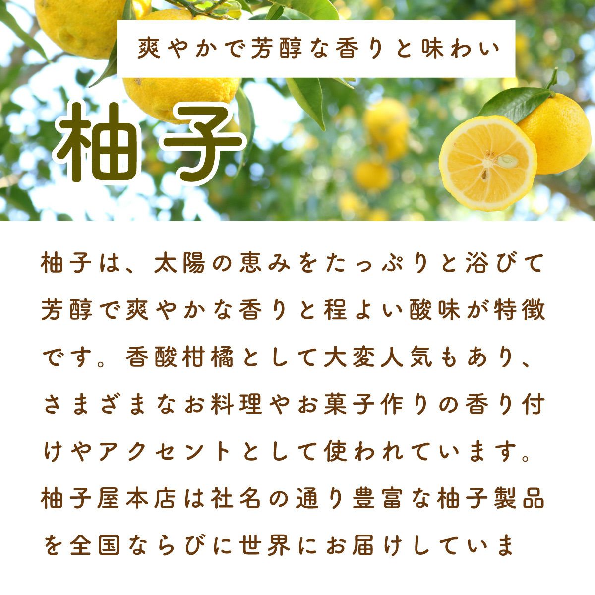 まるっと柚子ギフト[15200] | 柚子屋本店ONLINE STORE