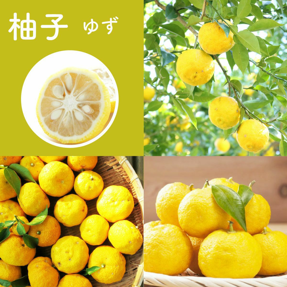 柚子まみれセット[15255] | 柚子屋本店ONLINE STORE