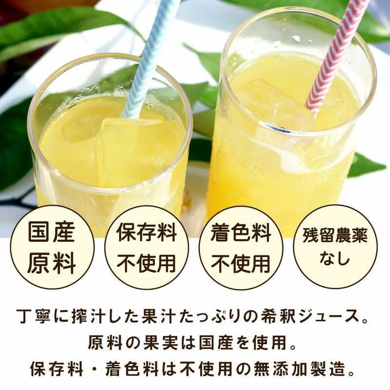 いろどりギフトD-8[5829]