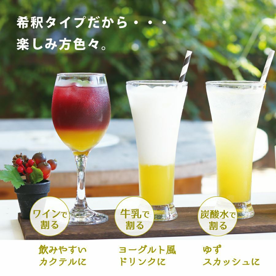 柚子＆ゆずきち12本ジュースセット(500ml×6本)[4808]