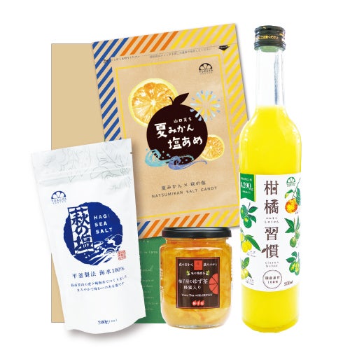 熱中症対策ギフトE