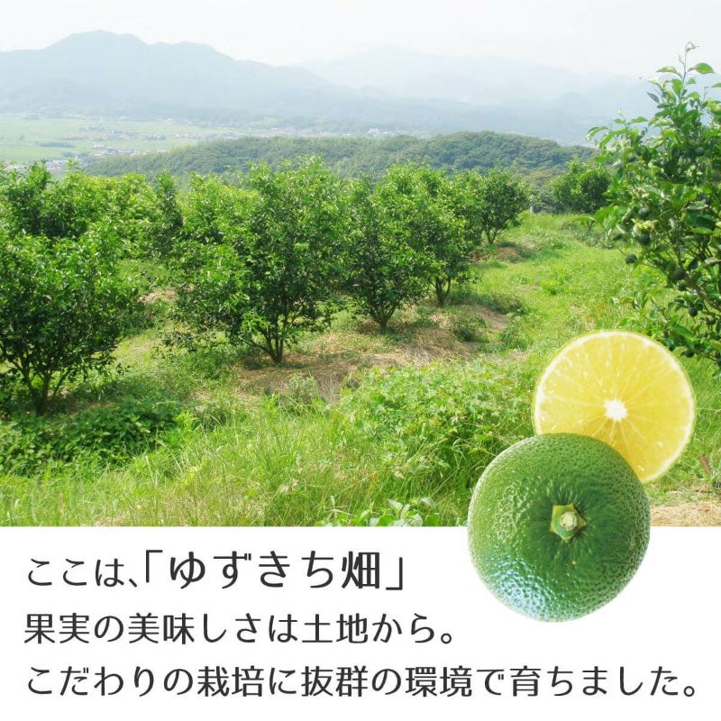 ゆずきち３（1.8L/一升瓶）6本